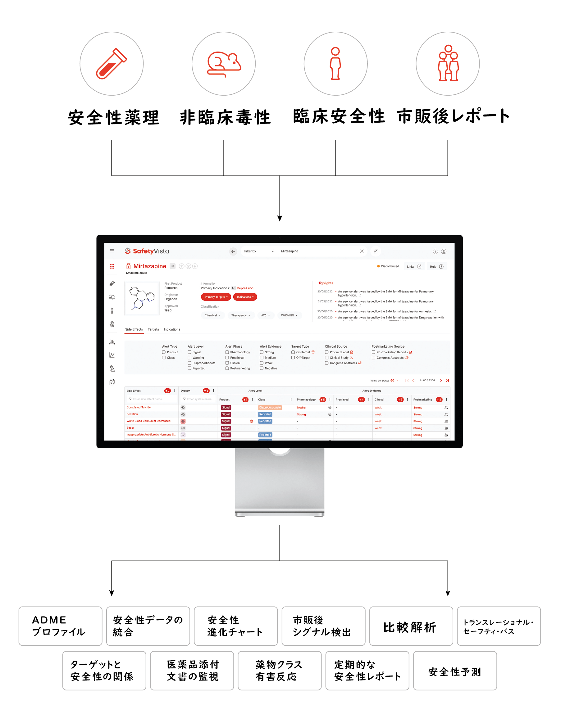 02.SafetyVista_Graphic_J