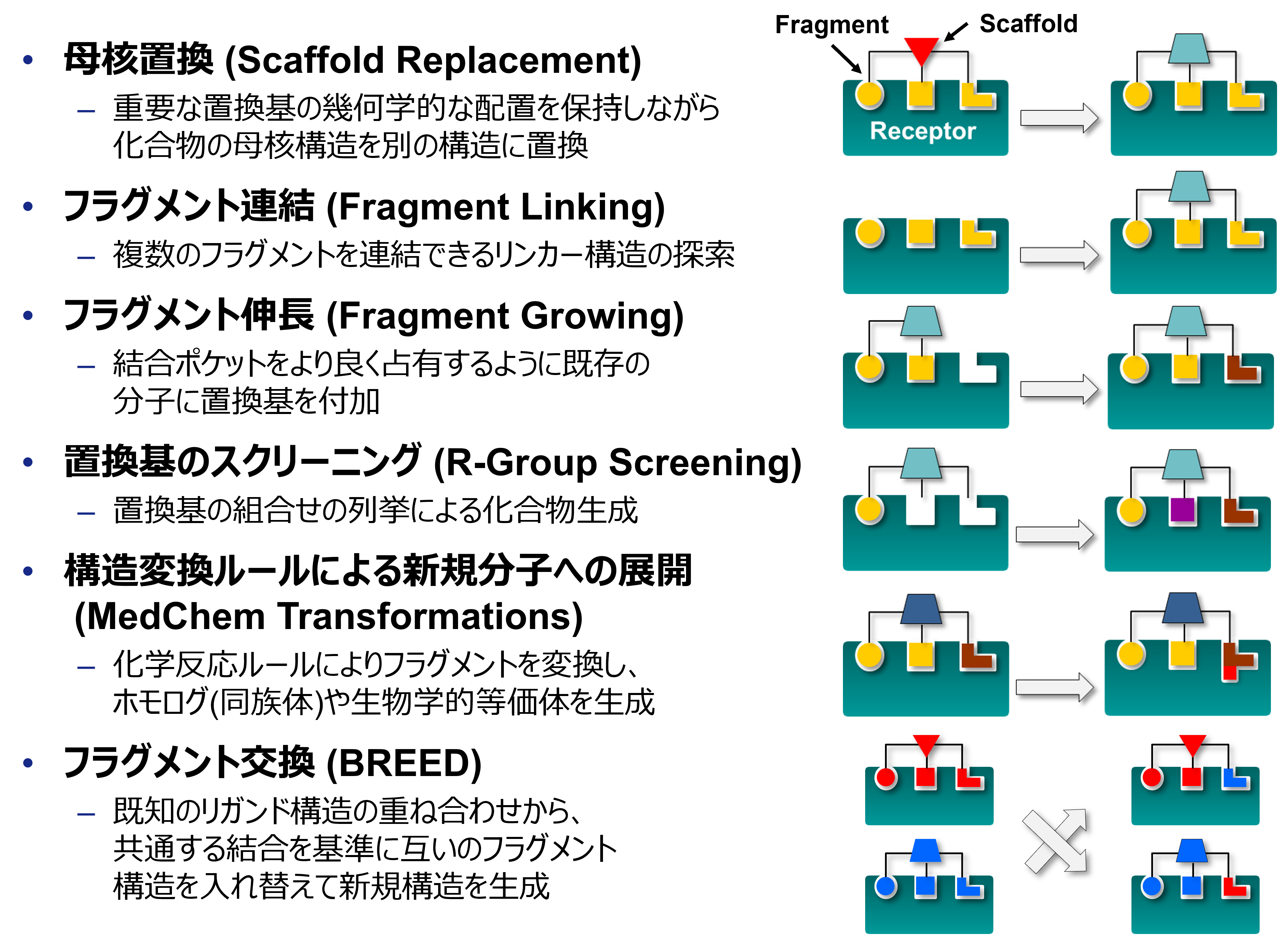 FBDD_overview