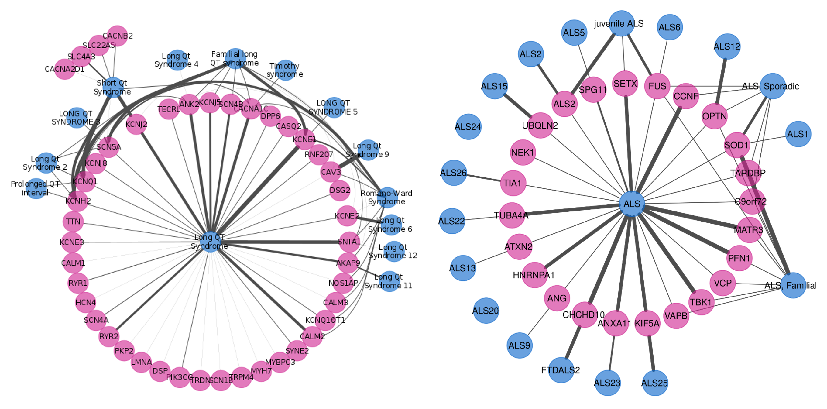 DISGENET_cytoscape