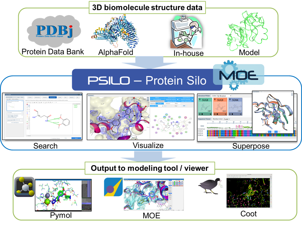 psilo_summary